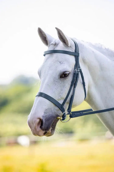 Buy Shires Velociti Hunter Cavesson Bridle| Online for Equine