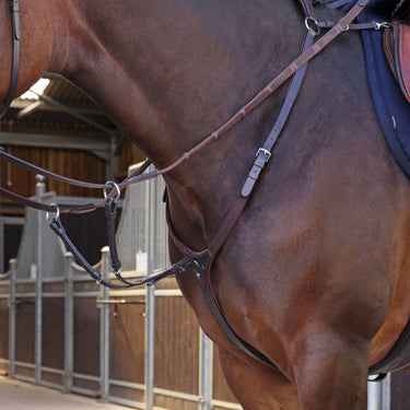 Shires Velociti LUSSO Elite Breastplate Havana| Online For Equine