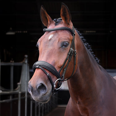 Shires Velociti LUSSO Elite Dressage Flash Bridle Black| Online For Equine