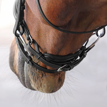 Shires Velociti LUSSO Elite Dressage Flash Bridle Black| Online For Equine