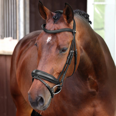 Shires Velociti LUSSO Elite Dressage Flash Bridle Black| Online For Equine