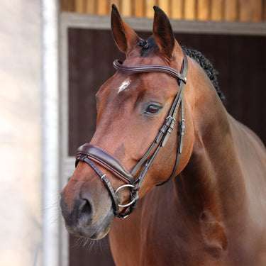Shires Velociti LUSSO Elite Dressage Flash Bridle Havana| Online For Equine