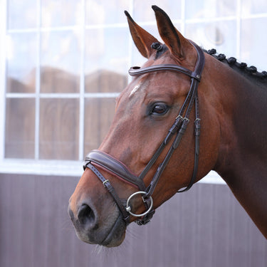 Shires Velociti LUSSO Elite Dressage Flash Bridle Havana| Online For Equine