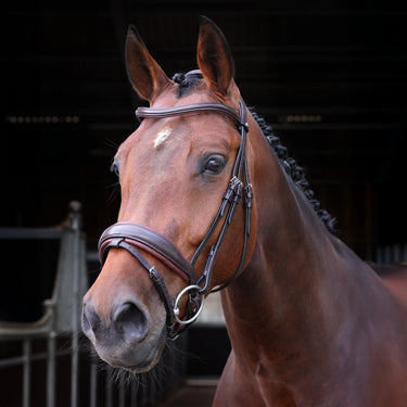 Shires Velociti LUSSO Elite Dressage Flash Bridle Havana| Online For Equine