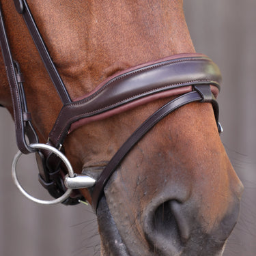 Shires Velociti LUSSO Elite Dressage Flash Bridle Havana| Online For Equine