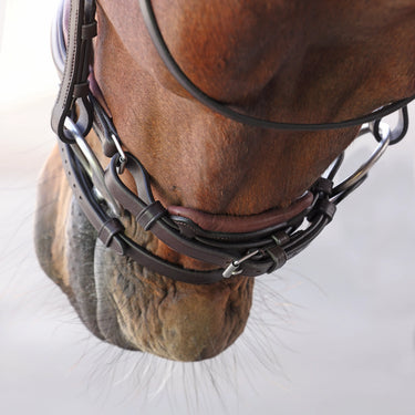Shires Velociti LUSSO Elite Dressage Flash Bridle Havana| Online For Equine