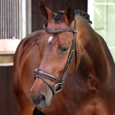 Shires Velociti LUSSO Elite Dressage Flash Bridle Havana| Online For Equine