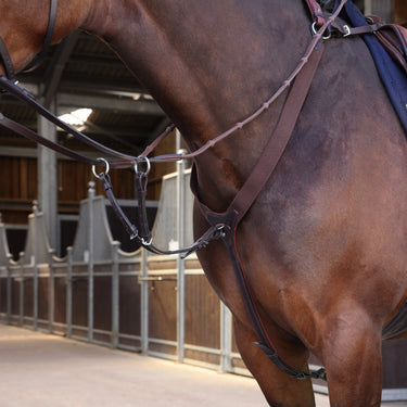 Shires Velociti LUSSO Elite Elastic Breastplate Havana| Online For Equine