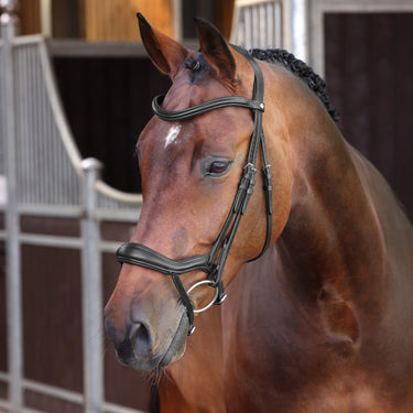 Shires Velociti LUSSO Elite Ergonomic Flash Bridle Black| Online For Equine