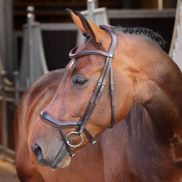 Shires Velociti LUSSO Elite Ergonomic Flash Bridle Havana| Online For Equine