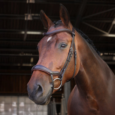 Shires Velociti LUSSO Elite Ergonomic Flash Bridle Havana| Online For Equine