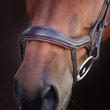 Shires Velociti LUSSO Elite Ergonomic Flash Bridle Havana| Online For Equine