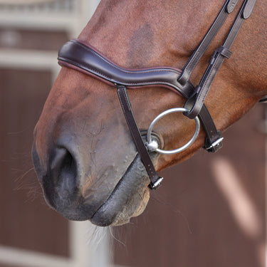 Shires Velociti LUSSO Elite Ergonomic Flash Bridle Havana| Online For Equine