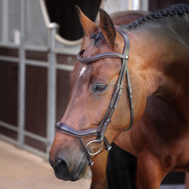 Shires Velociti LUSSO Elite Ergonomic Flash Bridle Havana| Online For Equine