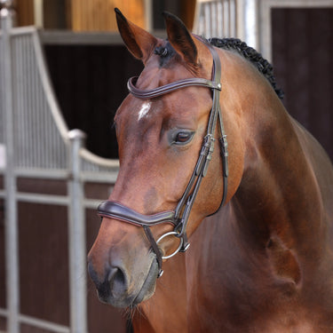 Shires Velociti LUSSO Elite Ergonomic Flash Bridle Havana| Online For Equine