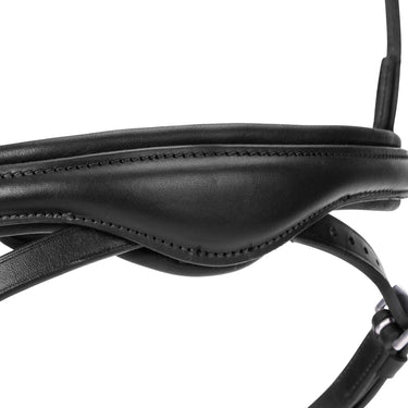 Shires Velociti LUSSO Elite Flash Noseband Black| Online For Equine