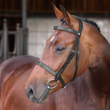 Shires Velociti LUSSO Elite Hunter Bridle Black| Online For Equine