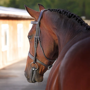 Shires Velociti LUSSO Elite Hunter Bridle Havana| Online For Equine