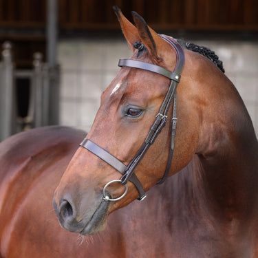 Shires Velociti LUSSO Elite Hunter Bridle Havana| Online For Equine
