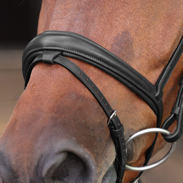 Shires Velociti LUSSO Elite Padded Raised Flash Bridle Black| Online For Equine