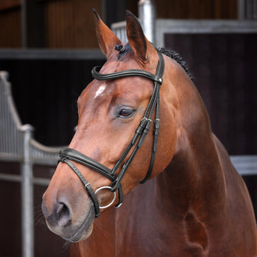 Shires Velociti LUSSO Elite Padded Raised Flash Bridle Black| Online For Equine