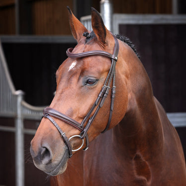 Shires Velociti LUSSO Elite Padded Raised Flash Bridle Havana| Online For Equine