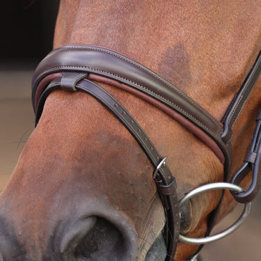 Shires Velociti LUSSO Elite Padded Raised Flash Bridle Havana| Online For Equine