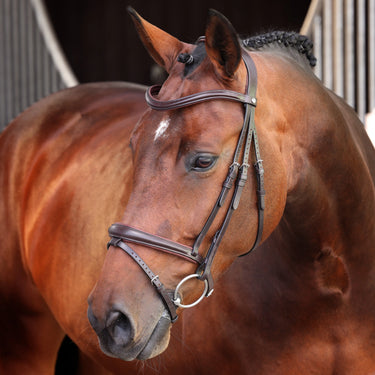 Shires Velociti LUSSO Elite Padded Raised Flash Bridle Havana| Online For Equine