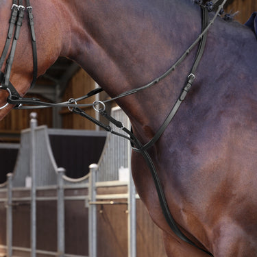 Shires Velociti LUSSO Elite Running Martingale Black| Online For Equine