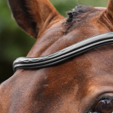 Shires Velociti LUSSO Opus 180M Dressage Cavesson Bridle Black| Online For Equine