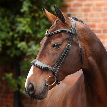 Shires Velociti LUSSO Opus 180M Dressage Cavesson Bridle Black| Online For Equine
