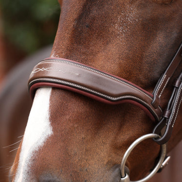 Shires Velociti LUSSO Opus 180M Dressage Cavesson Bridle Havana| Online For Equine