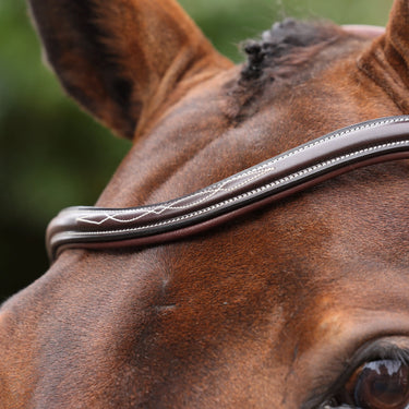 Shires Velociti LUSSO Opus 180M Dressage Cavesson Bridle Havana| Online For Equine