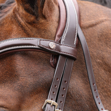 Shires Velociti LUSSO Opus 180M Dressage Cavesson Bridle Havana| Online For Equine
