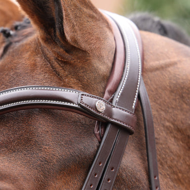 Shires Velociti LUSSO Opus 180M Dressage Cavesson Bridle Havana| Online For Equine
