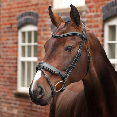 Shires Velociti LUSSO Opus 180M Dressage Flash Bridle Black| Online For Equine