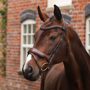 Shires Velociti LUSSO Opus 180M Dressage Flash Bridle Havana| Online For Equine