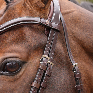 Shires Velociti LUSSO Opus 180M Dressage Flash Bridle Havana| Online For Equine