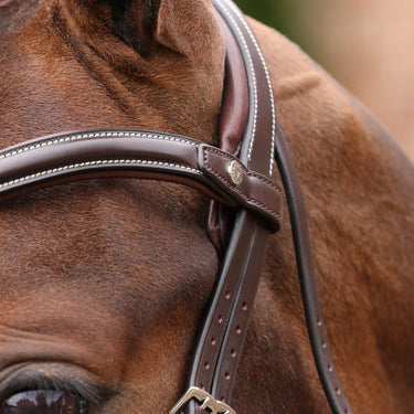 Shires Velociti LUSSO Opus 180M Dressage Flash Bridle Havana| Online For Equine