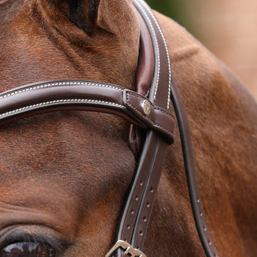 Shires Velociti LUSSO Opus 180M Dressage Flash Bridle Havana| Online For Equine