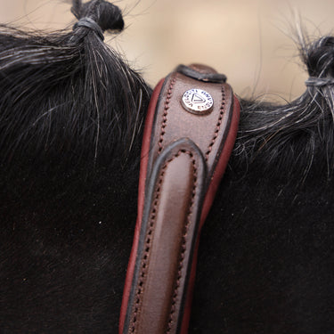 Shires Velociti LUSSO Opus 180M Dressage Flash Bridle Havana| Online For Equine