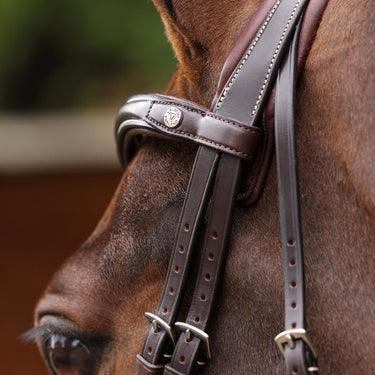 Shires Velociti LUSSO Opus 180M Dressage Flash Bridle Havana| Online For Equine
