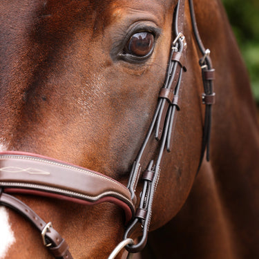 Shires Velociti LUSSO Opus 180M Dressage Flash Bridle Havana| Online For Equine