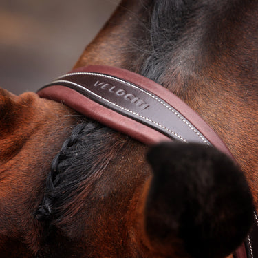Shires Velociti LUSSO Opus 180M Dressage Flash Bridle Havana| Online For Equine