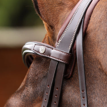 Shires Velociti LUSSO Opus 180M Dressage Flash Bridle Havana| Online For Equine