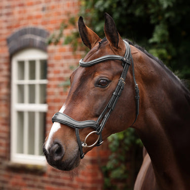 Shires Velociti LUSSO Opus 180M Ergonomic Flash Bridle Black| Online For Equine