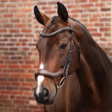 Shires Velociti LUSSO Opus 180M Ergonomic Flash Bridle Havana| Online For Equine
