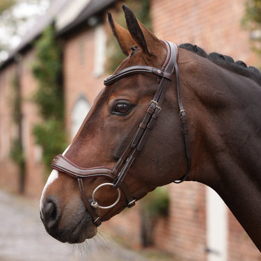 Shires Velociti LUSSO Opus 180M Ergonomic Flash Bridle Havana| Online For Equine