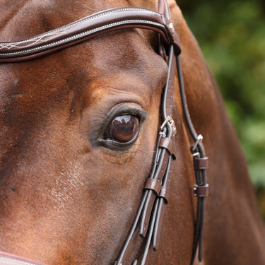 Shires Velociti LUSSO Opus 180M Ergonomic Flash Bridle Havana| Online For Equine