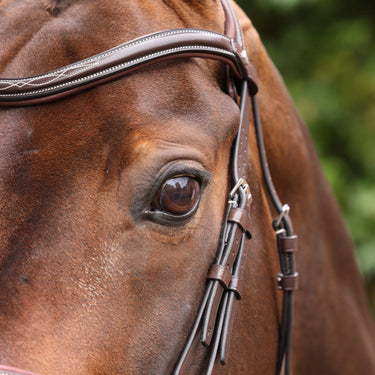 Shires Velociti LUSSO Opus 180M Ergonomic Flash Bridle Havana| Online For Equine
